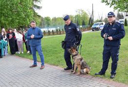policjanci prezentują umiejętności psów policyjnych (photo)