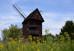  (photo)