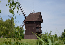  (photo)