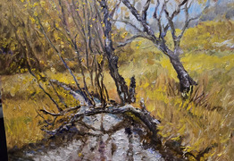 obraz: strumyk polny (photo)