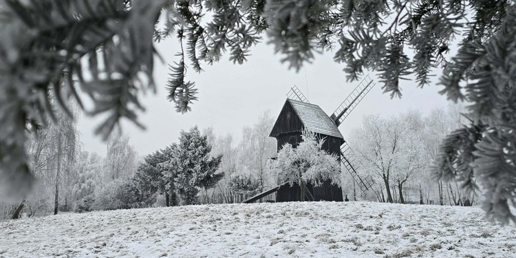 Konkurs fotograficzny 