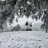 Konkurs fotograficzny 