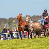 Włościańskie Zawody w Powożeniu Zaprzęgami Konnymi
