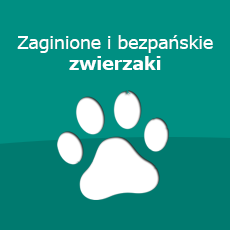 Zgłoś zwierzaka