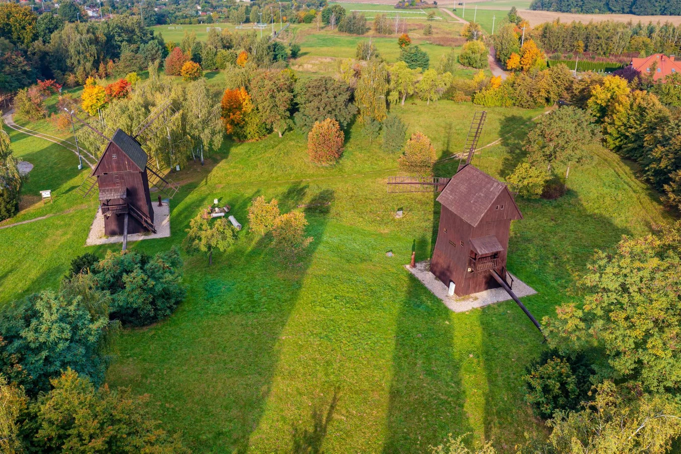 Wiatraki koźlaki